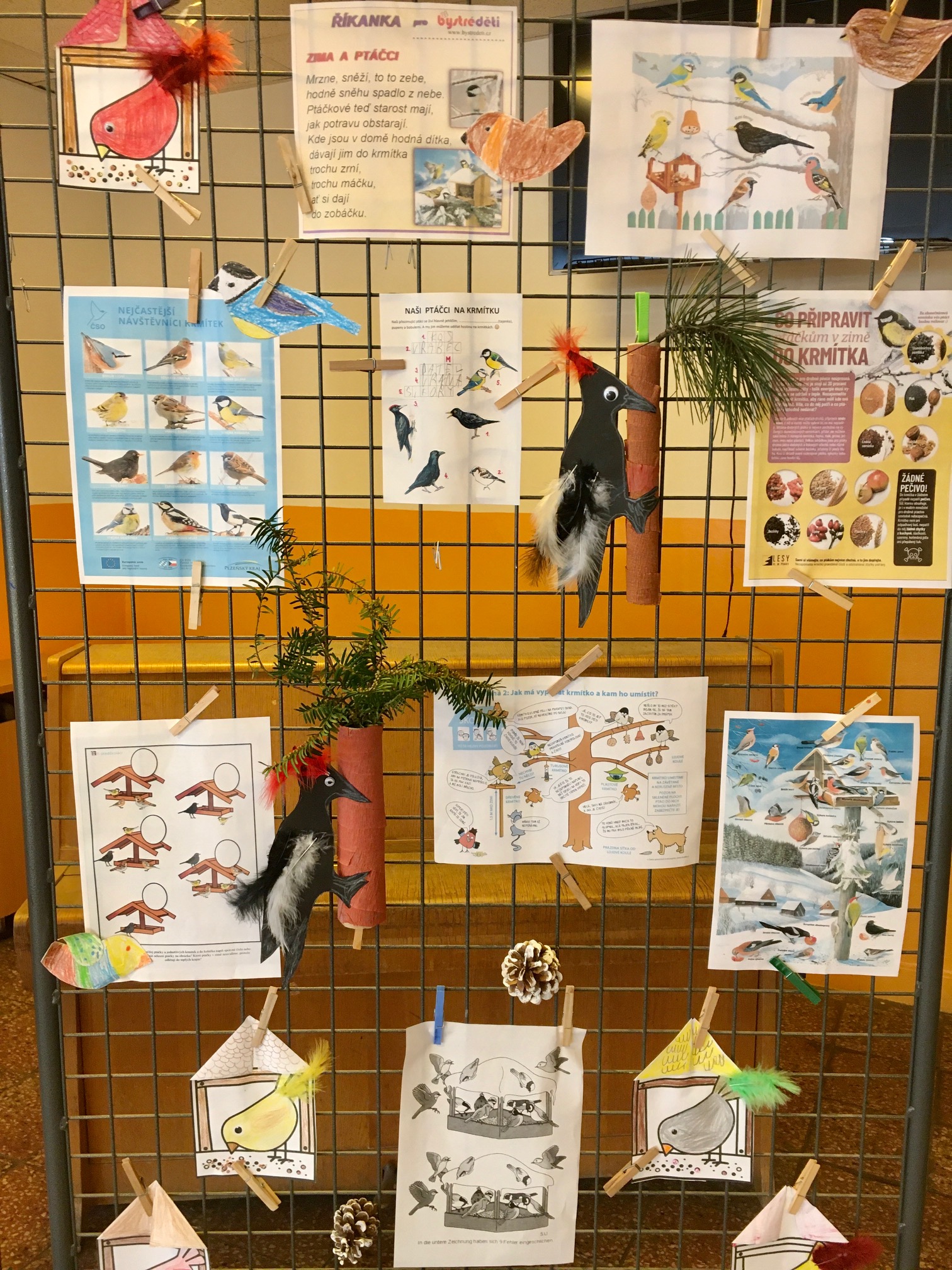 Celodružinová akce – Přezimující ptactvo