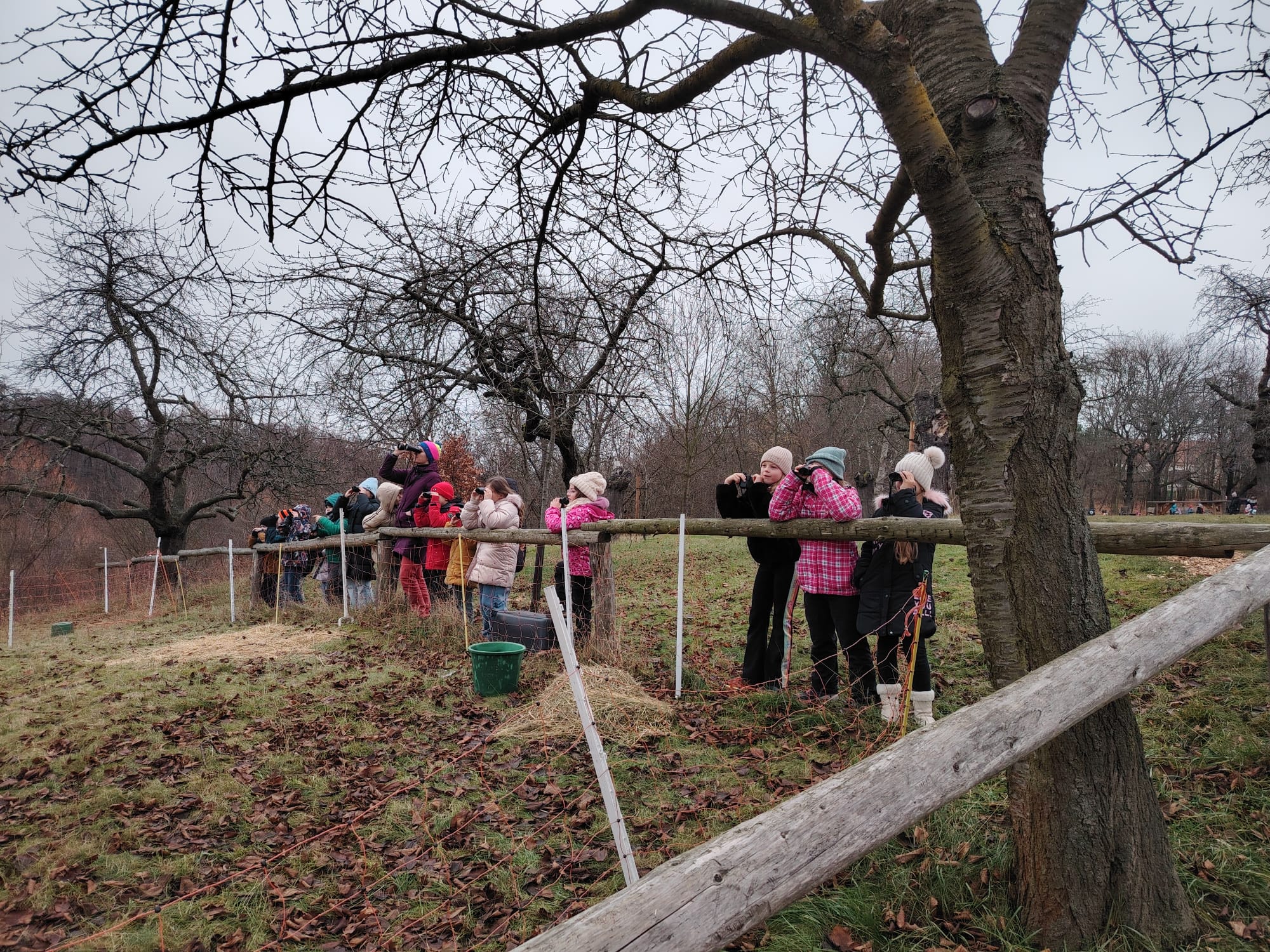 Návštěva Toulcova dvora – Mafián v ptačí říši