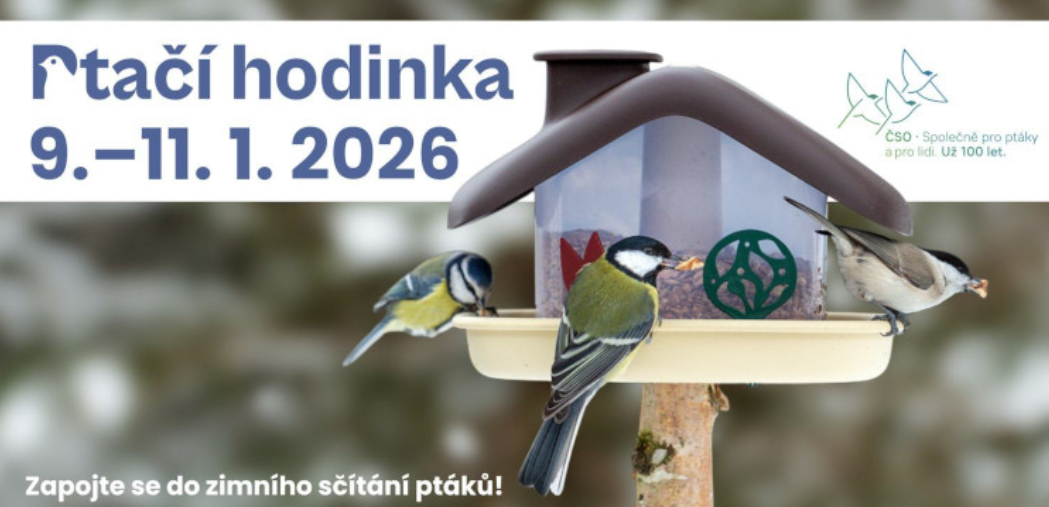 Zapojme se do Ptačí hodinky!