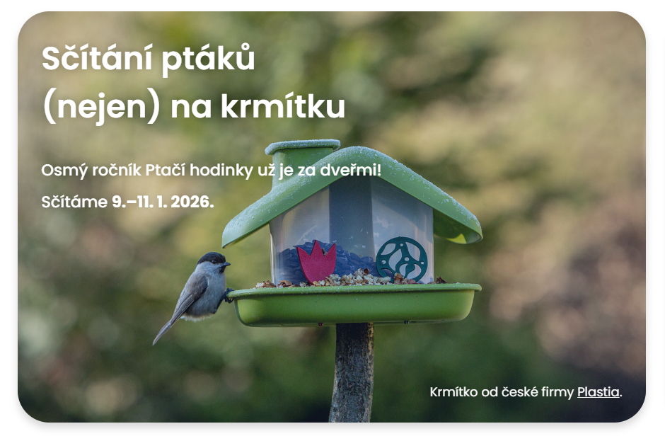 Zapojme se do Ptačí hodinky!