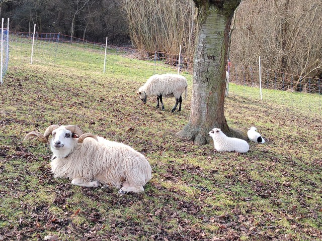 Jarní probouzení v Toulcově dvoře